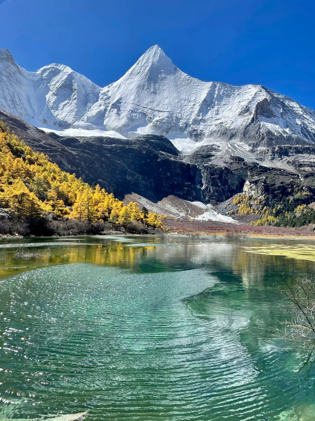 川西秋景对比：稻城亚丁，毕棚沟